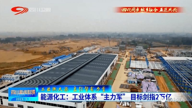 解码广东精细化工产品行业标准：合规与创新的平衡之道